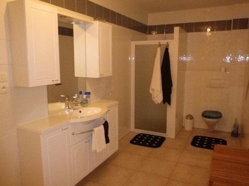 Appartement Celia Wittisheim 部屋 写真
